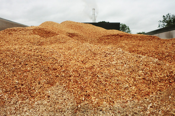 Wood chip to be dried and used as biomass fuel