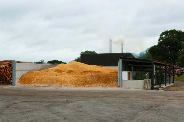 Wood chip for drying